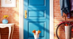 The secret life of pets