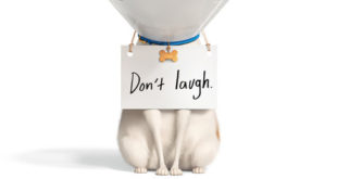 The secret life of pets 2