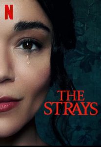 The strays
