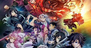 Demon slayer: To the Hashira training