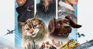 Chien et chat