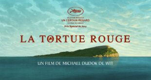 La tortue rouge