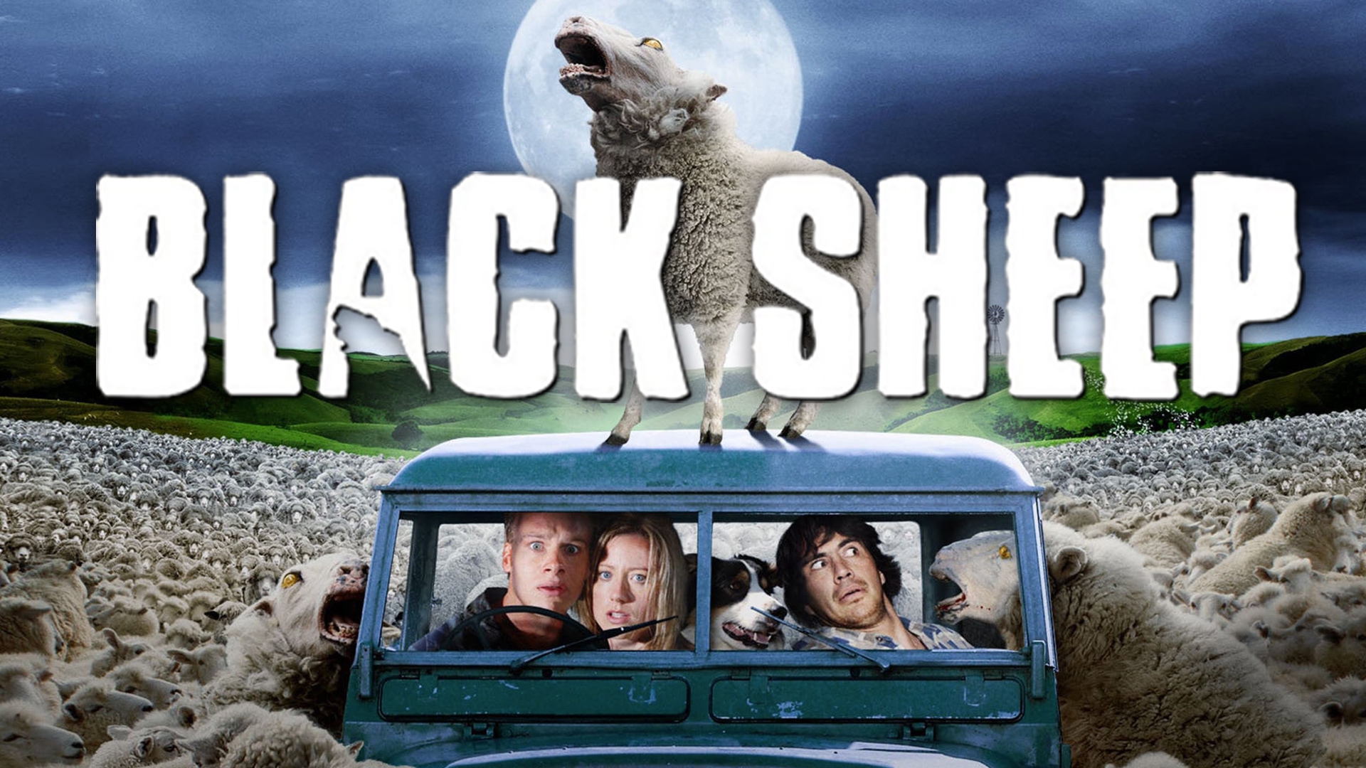 Black sheep