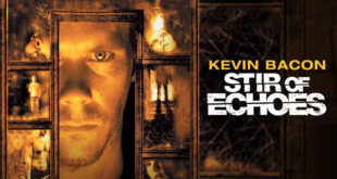 Stir of echoes