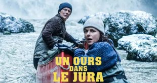 Un ours dans le Jura