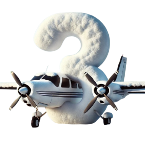 Flight risk