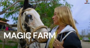 Magic Farm