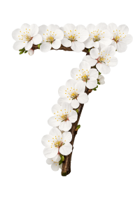 5 Centimeters Per Second