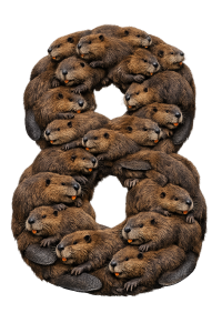 Hoppers