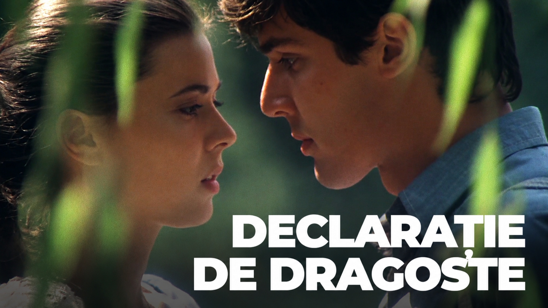 Declarație de dragoste