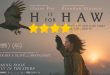 H is for Hawk