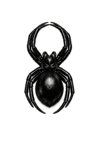Spider-Noir